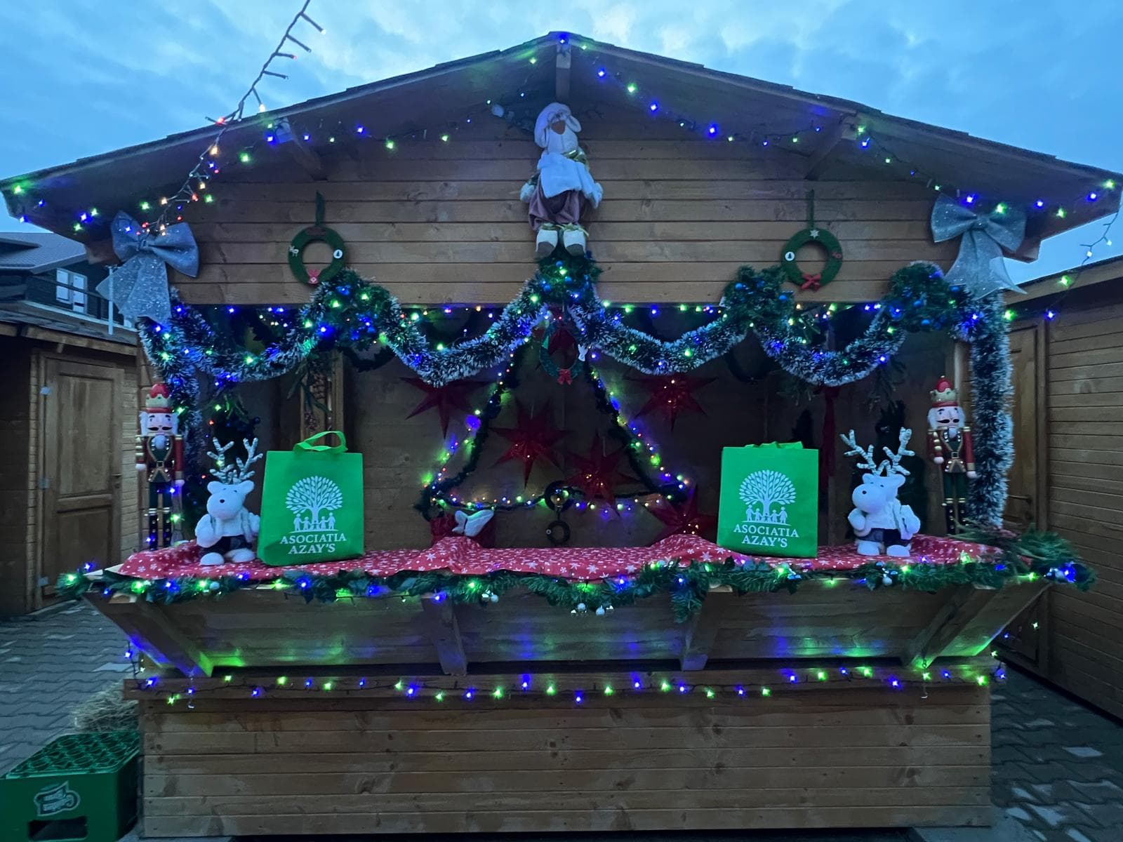 Activitate Asociația Azay's - imagine 2