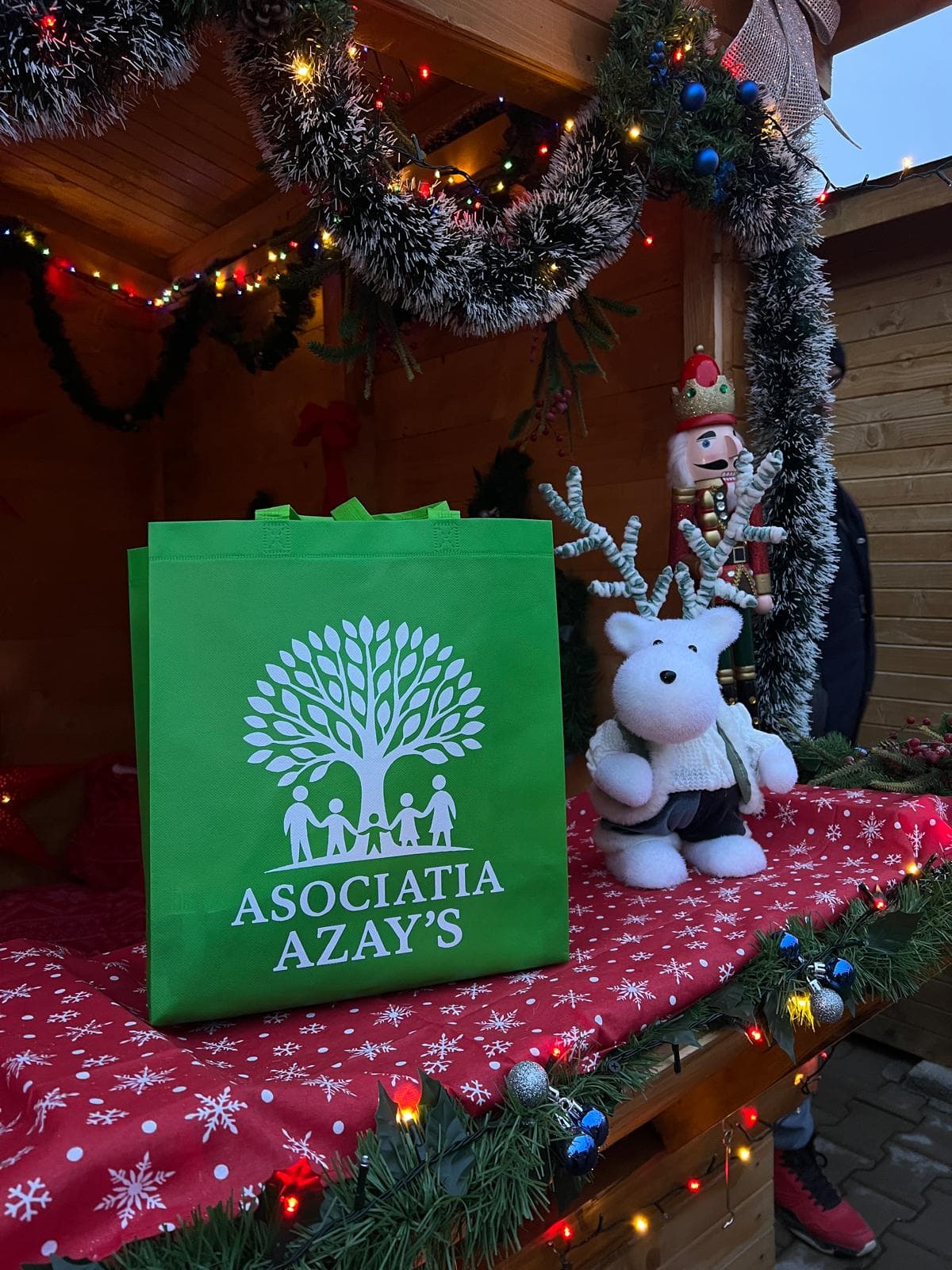 Activitate Asociația Azay's - imagine 3